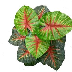 12 Hojas de plástico mayorista Caladium la decoración del hogar, planta artificial