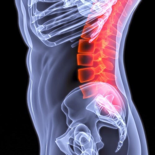 Silla Asiento Respaldo con Reposabrazos - Imagen 4