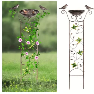 Baño de pájaros con enrejado de jardín para plantas trepadoras al aire libre