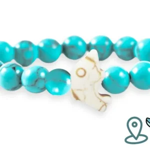 Pulsera de seguimiento de delfines