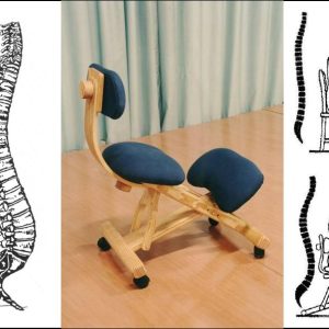 Silla Ergonómica Oficina Perfeccionada (Modelo Ruedas)